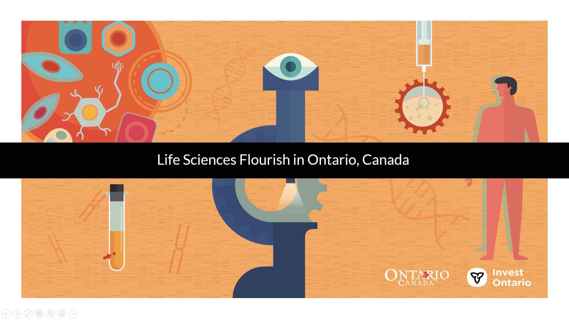 Thumbnail image for Life Sciences Flourish in Ontario, Canada PowerPoint