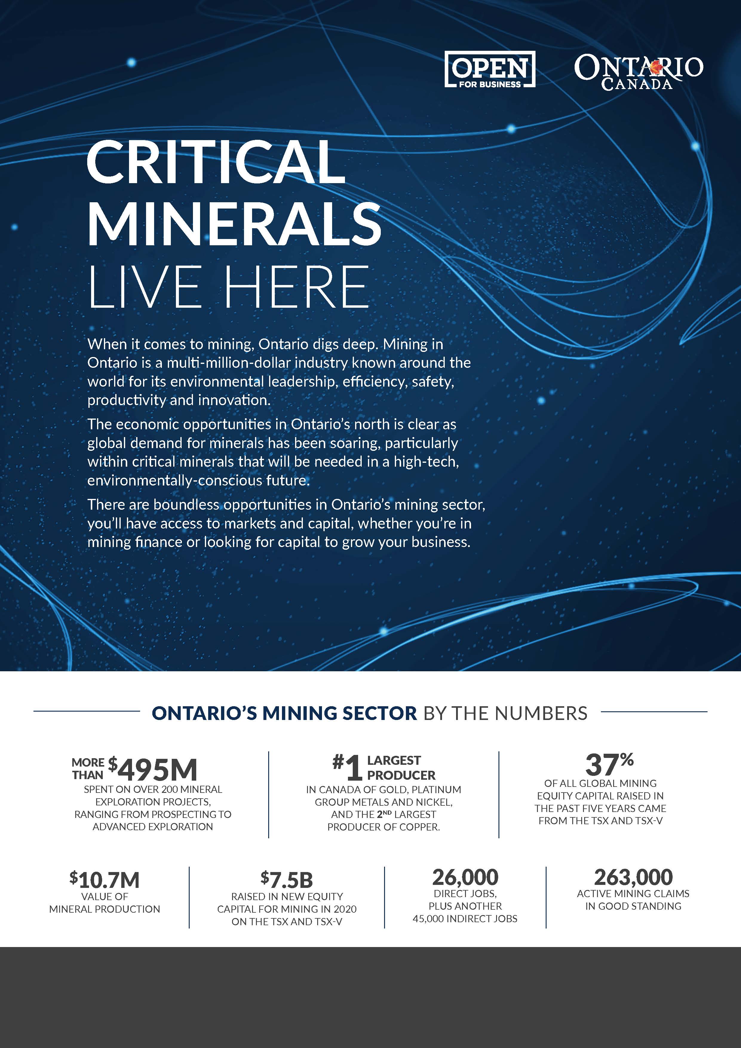 thumbnail image for critical minerals live here brochure