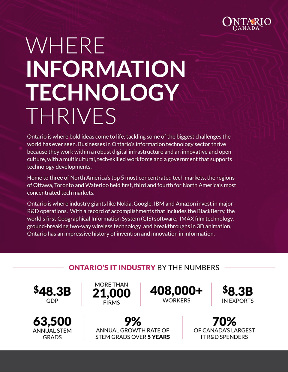 thumbnail image for Where information technology thrives brochure