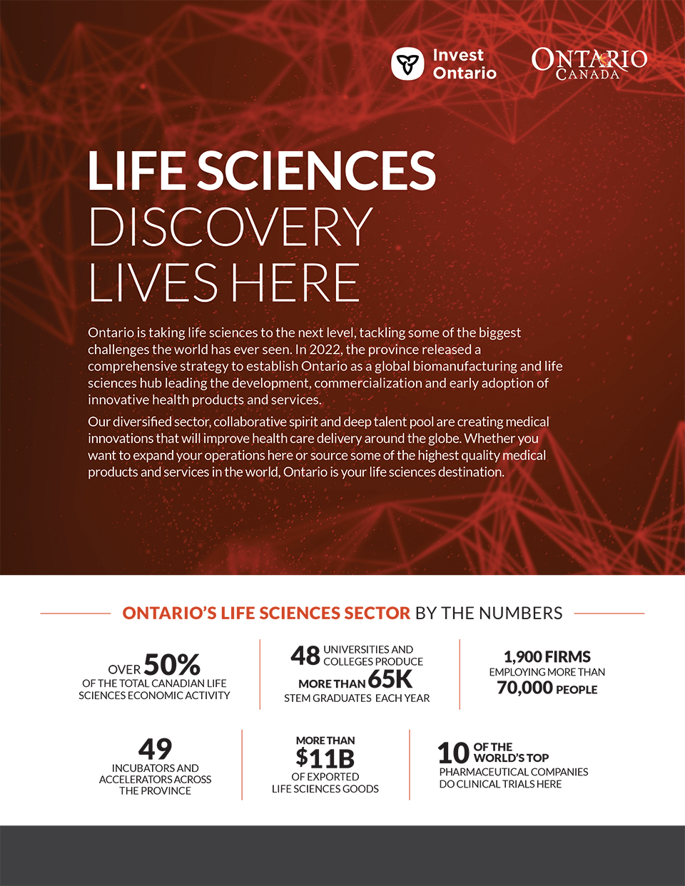 thumbnail image for Life sciences discovery lives here brochure