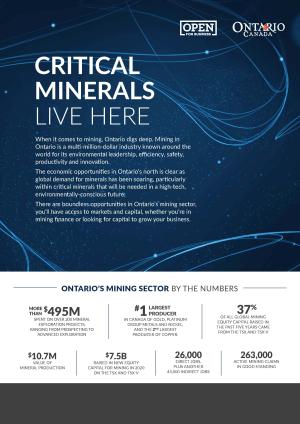 thumbnail image for critical minerals live here brochure