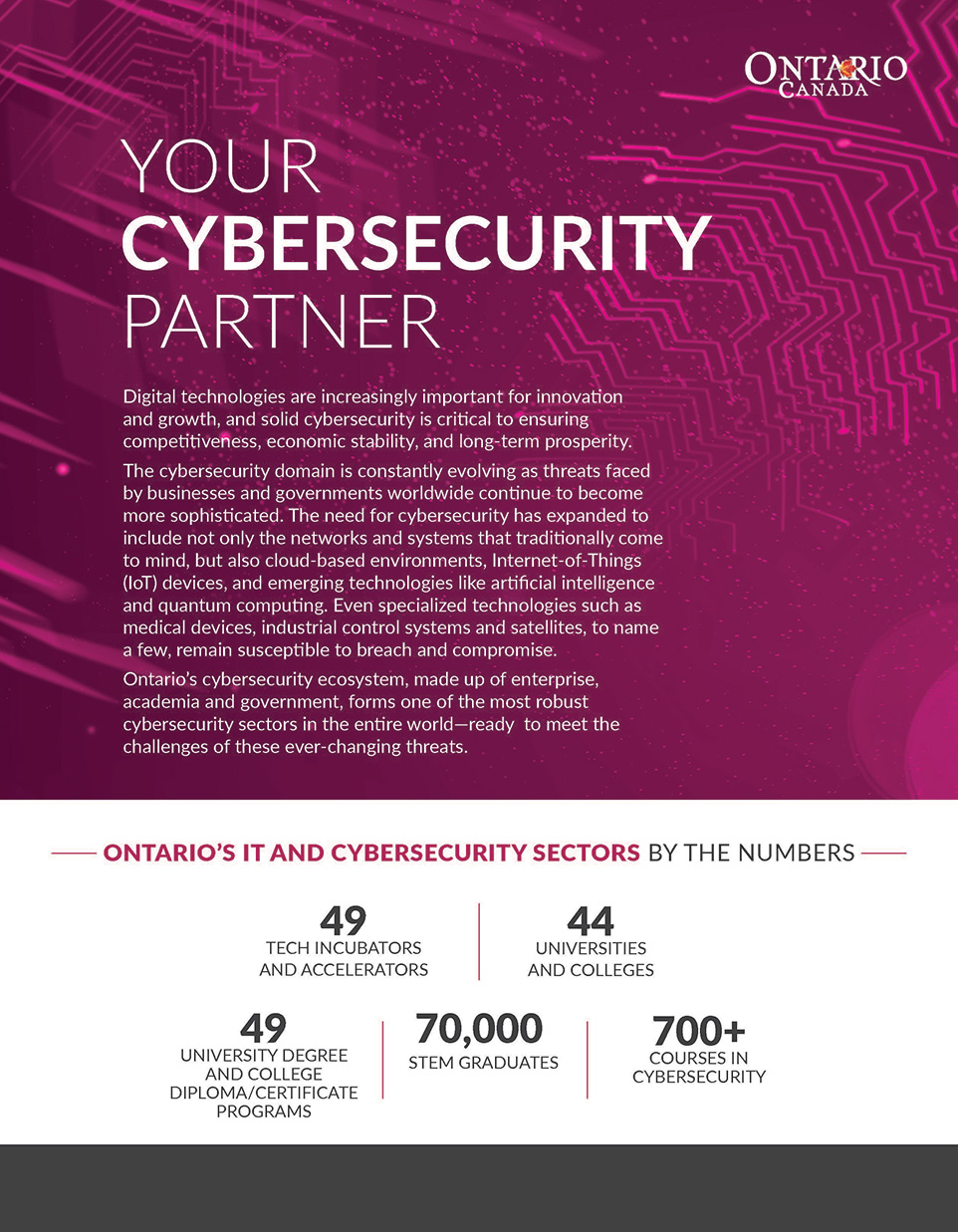 thumbnail image for your cybersecurity partner brochure