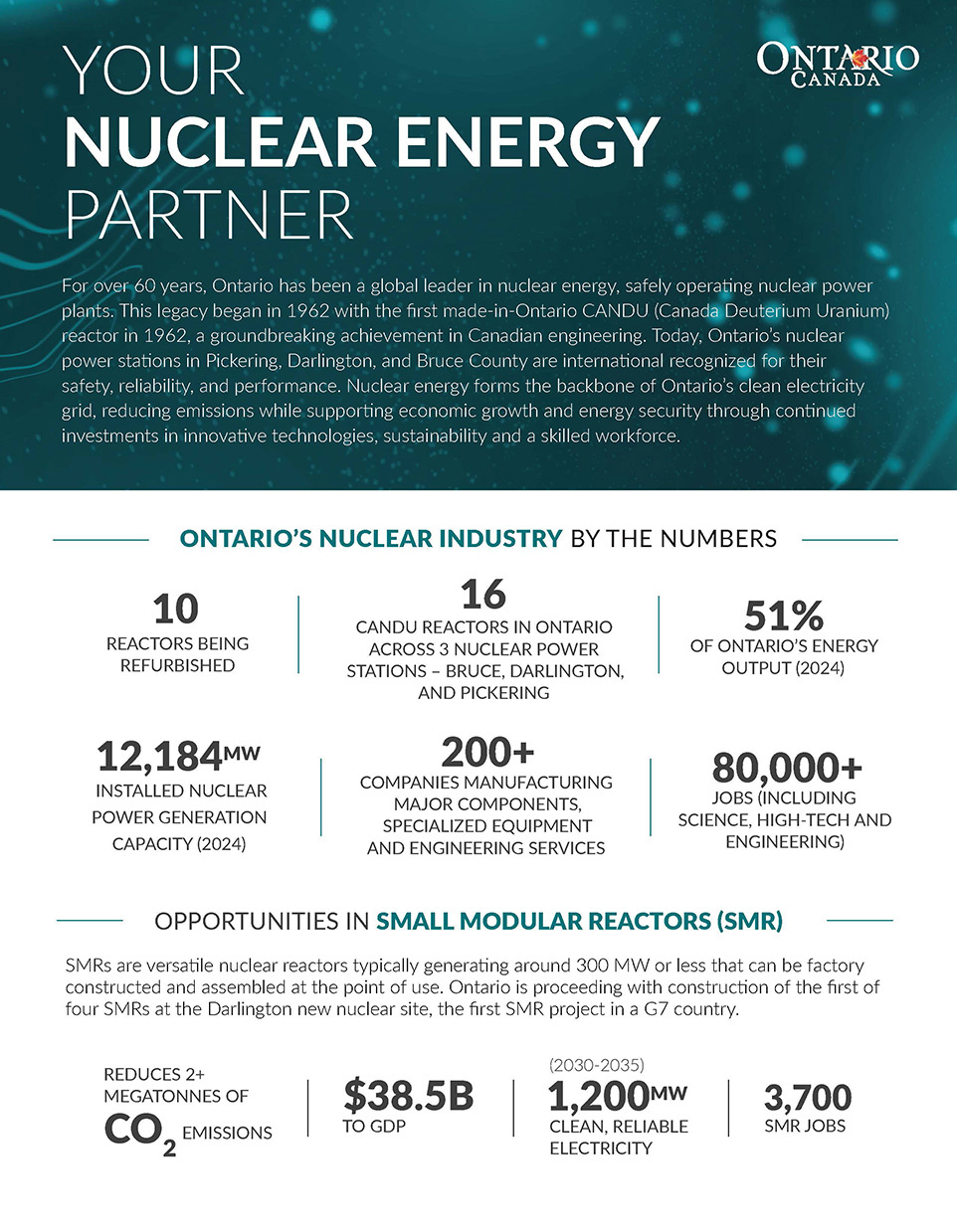 thumbnail image for Your cleantech partner brochure