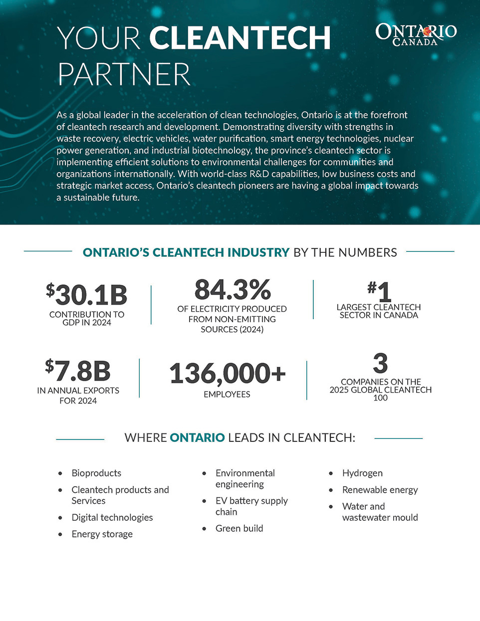thumbnail image for Your cleantech partner brochure