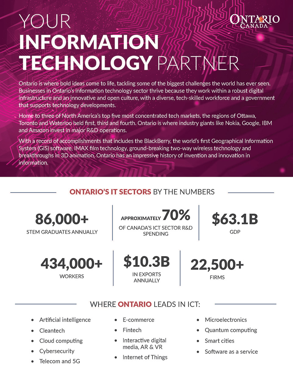 thumbnail image for your information technology partner brochure
